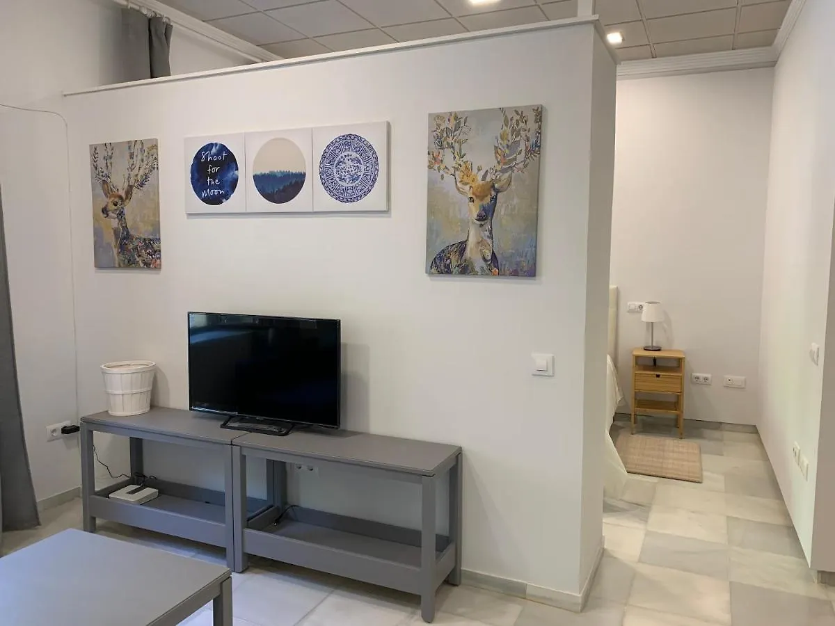 Apartamento Sevilla Hub Cuesta Del Rosario Spain